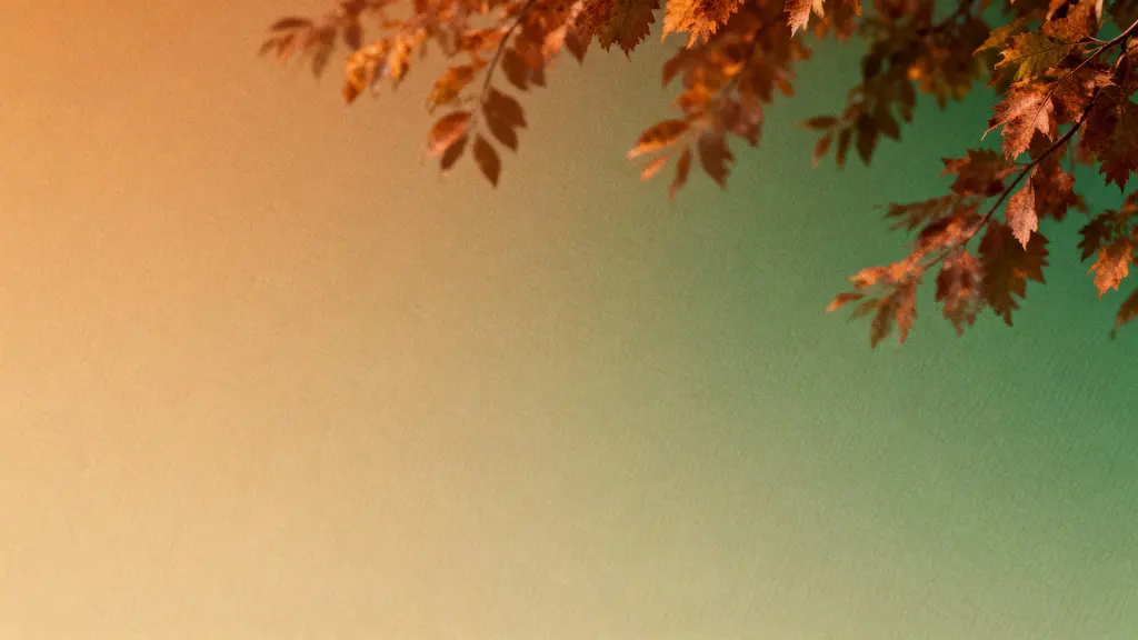 Abstract foliage gradient wallpaper study