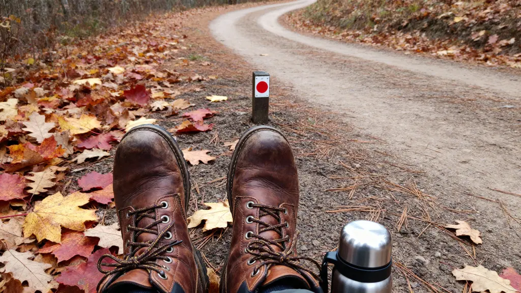 Boots on Leaf-Strewn Trail Editorial