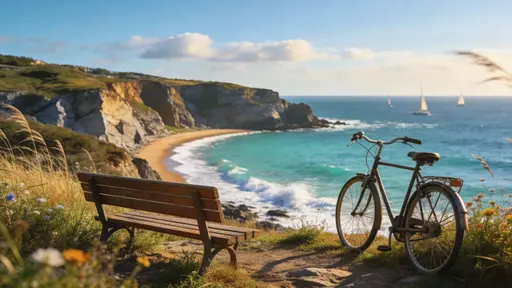 Bench and Bicycle at Coastal Viewpoint