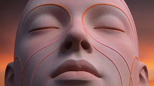 Calm sculpted face with contour lines