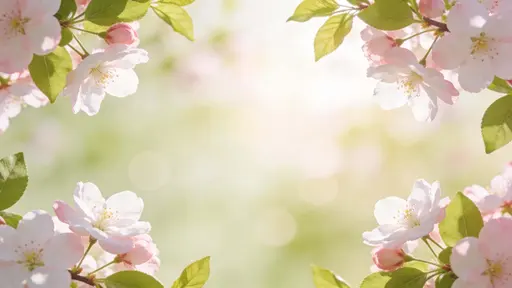Cherry Blossom Soft Spring Floral Background