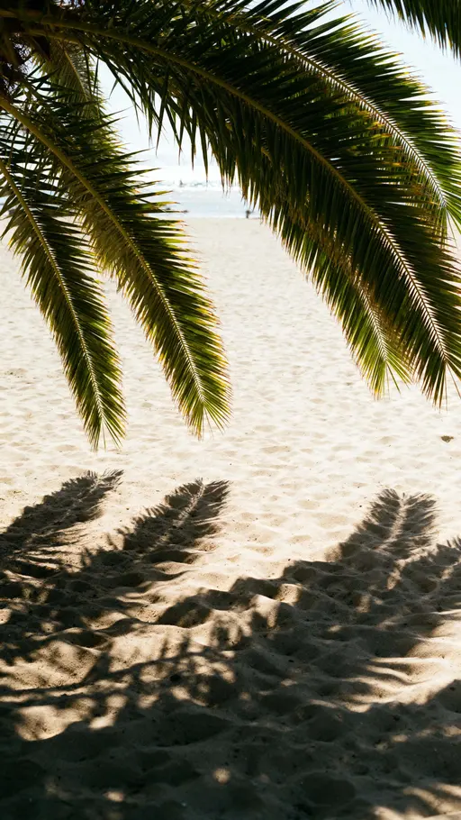 Palm Leaves Casting Soft Shadows