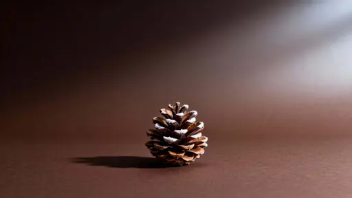 Pinecone on Wide Christmas Background Scene