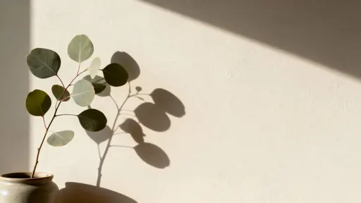 Plant Shadow on Smooth Neutral Wall