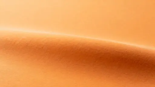 Pumpkin-toned monochrome color study for headers